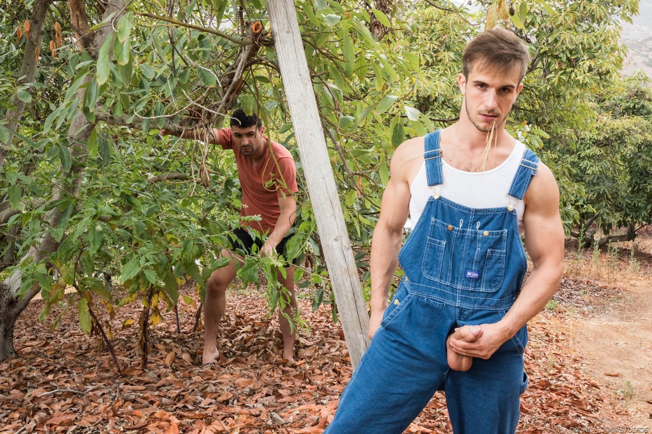 Dirty gay farmer Donte Thick fucks brunette Ian Greene among the avocado tress  